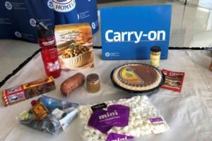 Practical Tips: Can You Bring Food Through Tsa
