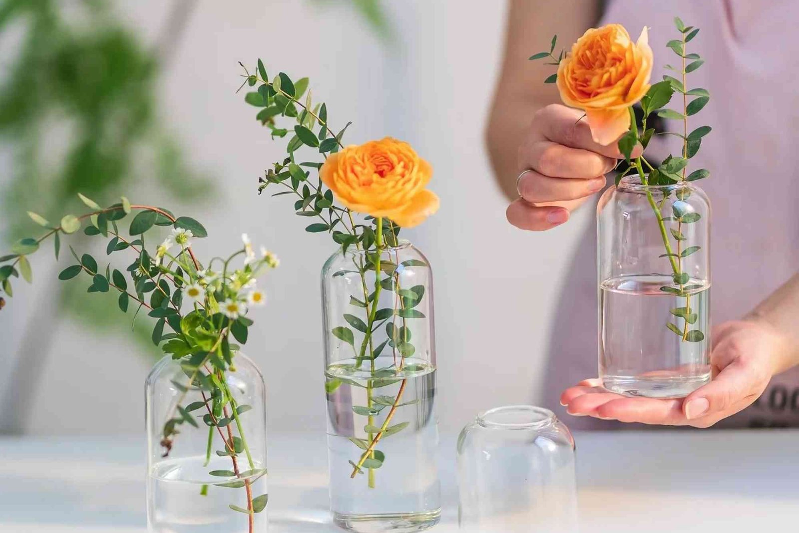 Walmart Cylinder Vases — The Ultimate Buying Guide