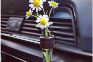 Car Vent Flower Vase Designs