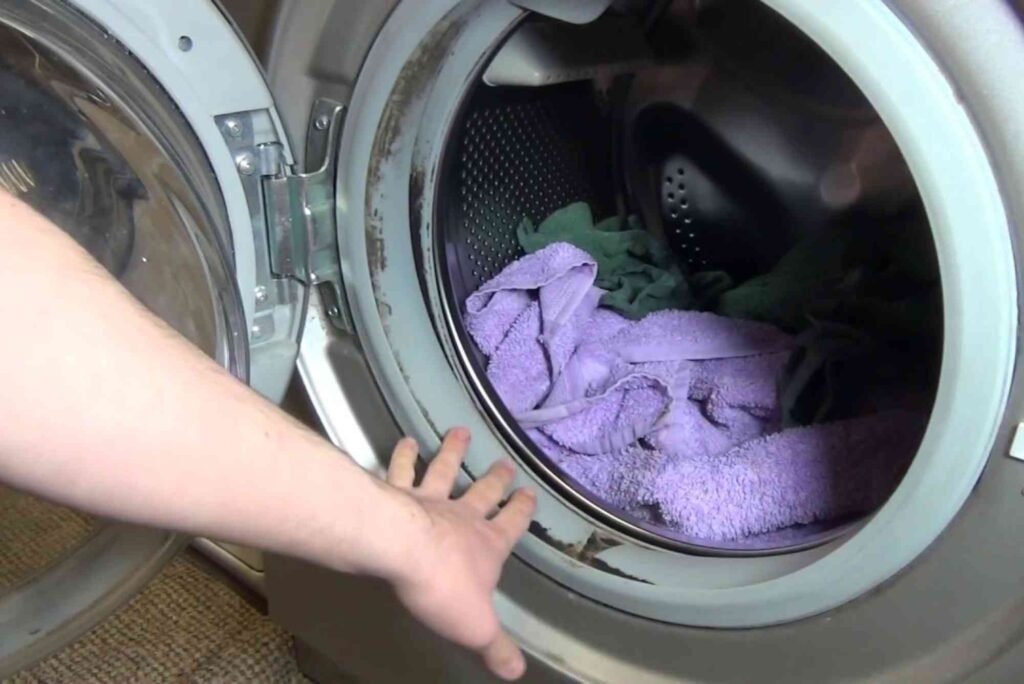 Typical Problems Found in Washing Machine Door Seals